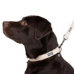 Halsband Nomad Tales Blush, Taupe -Hondenbenodigdheden Korting 324701 blush l fg 7186 7