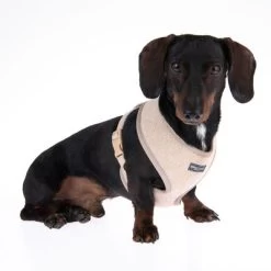 Nomad Tales Calma Tuig, Sand -Hondenbenodigdheden Korting 324711 calma m fg 7280 2