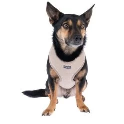 Nomad Tales Calma Tuig, Sand -Hondenbenodigdheden Korting 324713 calma fg 7794 7