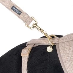 Nomad Tales Calma Tuig, Sand -Hondenbenodigdheden Korting 324713 calma fg 7811 0