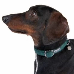 Halsband Nomad Tales Blush Emerald - Groen -Hondenbenodigdheden Korting 324796 blush s fg 6972 5