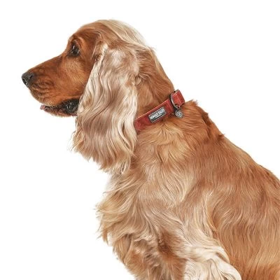 Halsband Nomad Tales Blush, Rosé - Afbeelding 3