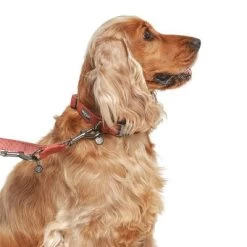 Hondenriem Nomad Tales Blush, Rosé 31 Hondenriem Nomad Tales Blush, Rosé -Hondenbenodigdheden Korting 325600 325601 nomadtales blush hundeleine rose hs 03 9