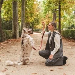 Hondenriem Nomad Tales Blush, Rosé 21 Hondenriem Nomad Tales Blush, Rosé -Hondenbenodigdheden Korting 325600 325601 nomadtales blush hundeleine rose hs 07 4