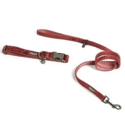 Hondenriem Nomad Tales Blush, Rosé 30 Hondenriem Nomad Tales Blush, Rosé -Hondenbenodigdheden Korting 325600 325601 pla nomadtales blush hundeleine rose hs 01 0