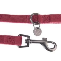 Hondenriem Nomad Tales Blush, Rosé 23 Hondenriem Nomad Tales Blush, Rosé -Hondenbenodigdheden Korting 325600 nomad tales blush hundeleine rose fg 1406 5