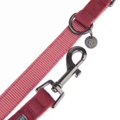 Hondenriem Nomad Tales Blush, Rosé 26 Hondenriem Nomad Tales Blush, Rosé -Hondenbenodigdheden Korting 325601 nomad tales blush hundeleine rose fg 1398 4