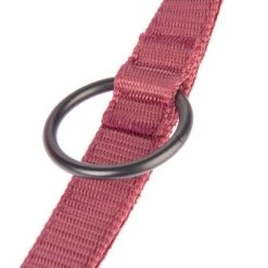 Hondenriem Nomad Tales Blush, Rosé 28 Hondenriem Nomad Tales Blush, Rosé -Hondenbenodigdheden Korting 325601 nomad tales blush hundeleine rose fg 1401 7