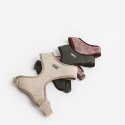 Nomad Tales Calma Tuig, Sand -Hondenbenodigdheden Korting 325796 nomad tales calma ebony 05 5 2