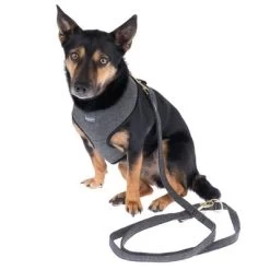 Nomad Tales Calma Tuig, Ebony -Hondenbenodigdheden Korting 325898 calma fg 7844 5