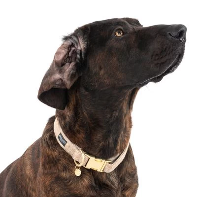 Nomad Tales Calma Halsband, Sand 4 Nomad Tales Calma Halsband, Sand - Afbeelding 2