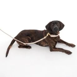 Nomad Tales Calma Halsband, Sand 33 Nomad Tales Calma Halsband, Sand -Hondenbenodigdheden Korting 325903 calma l sand fg 7971 5