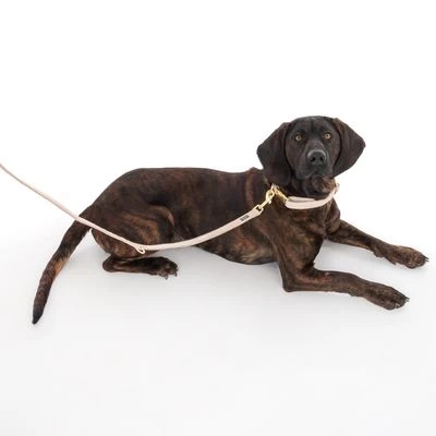 Nomad Tales Calma Halsband, Sand 17 Nomad Tales Calma Halsband, Sand - Afbeelding 15