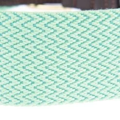 Halsband Nomad Tales Bloom, Mint -Hondenbenodigdheden Korting 326798 326896 326800 326801 326803 nomad tales bloom halsbaender fg 1486 0