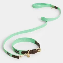 Halsband Nomad Tales Bloom, Mint -Hondenbenodigdheden Korting 326798 nomad tales bloom halsband mint 04 7