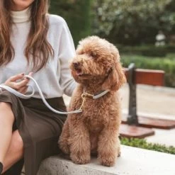 Nomad Tales Calma Halsband, Stone -Hondenbenodigdheden Korting 326806 326197 nomad tales calma halsband stone 03 5