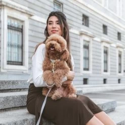 Nomad Tales Calma Halsband, Stone -Hondenbenodigdheden Korting 326806 326197 nomad tales calma halsband stone 05 0