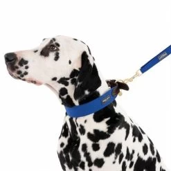 Hondenriem Nomad Tales Bloom, Sapphire -Hondenbenodigdheden Korting 326810 328197 bloom l fg 7587 2