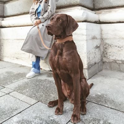 Nomad Tales Bloom Leine, Caramel 5 Nomad Tales Bloom Leine, Caramel - Afbeelding 3