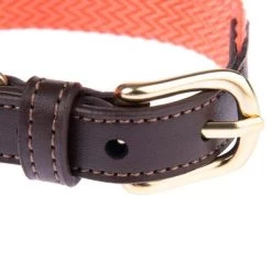 Nomad Tales Bloom Halsband, Coral -Hondenbenodigdheden Korting 328396 328496 328497 328596 328696 nomad tales bloom halsbaender fg 1480 2