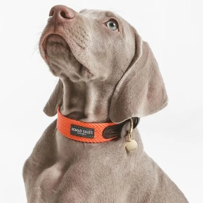 Nomad Tales Bloom Halsband, Coral - Afbeelding 2