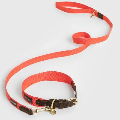 Nomad Tales Bloom Halsband, Coral - Afbeelding 10