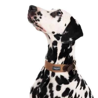 Nomad Tales Bloom Halsband, Caramel 9 Nomad Tales Bloom Halsband, Caramel - Afbeelding 7