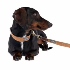 Nomad Tales Bloom Leine, Caramel 21 Nomad Tales Bloom Leine, Caramel -Hondenbenodigdheden Korting 328697 328202 bloom xs fg 7393 5