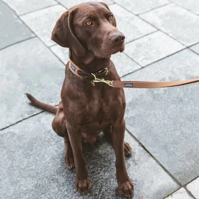 Nomad Tales Bloom Halsband, Caramel 4 Nomad Tales Bloom Halsband, Caramel - Afbeelding 2