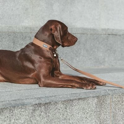 Nomad Tales Bloom Leine, Caramel 13 Nomad Tales Bloom Leine, Caramel - Afbeelding 11