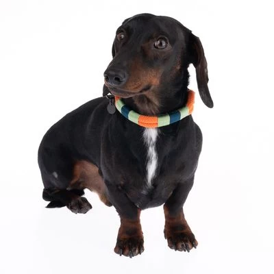 Nomad Tales Spirit Halsband, Tangerine 6 Nomad Tales Spirit Halsband, Tangerine - Afbeelding 4