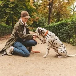 Nomad Tales Spirit Halsband, Tangerine 21 Nomad Tales Spirit Halsband, Tangerine -Hondenbenodigdheden Korting 328896 nomad tales halsband tangerine leine 02 8