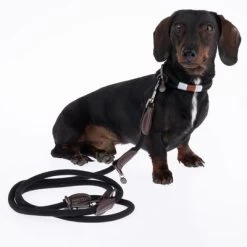 Nomad Tales Spirit Halsband, Ebony -Hondenbenodigdheden Korting 329001 329396 spirit xs fg 7728 6