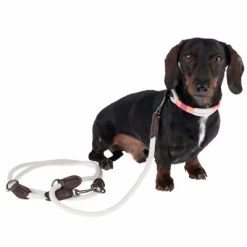 Nomad Tales Spirit Halsband, Stone 30 Nomad Tales Spirit Halsband, Stone -Hondenbenodigdheden Korting 329197 329397 spirit xs fg 7690 3