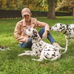 Nomad Tales Spirit Halsband, Stone 21 Nomad Tales Spirit Halsband, Stone -Hondenbenodigdheden Korting 329197 nomad tales spirit halsband stone 04 4