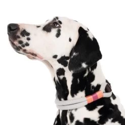 Nomad Tales Spirit Halsband, Stone 19 Nomad Tales Spirit Halsband, Stone -Hondenbenodigdheden Korting 329296 spirit l fg 7484 4