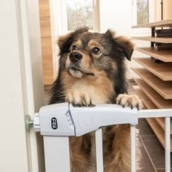 TIAKI Wit Hondenrek Met Verlengstuk Van 7 Cm -Hondenbenodigdheden Korting 334597 tiaki dog gate white fg 8198 1