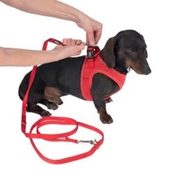 TIAKI Tuigje Wave Vest, Rood 25 TIAKI Tuigje Wave Vest, Rood -Hondenbenodigdheden Korting 338698 tiaki wave vest m fg 8947 3