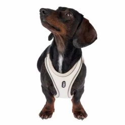 TIAKI Harnas Wave Vest, Beige -Hondenbenodigdheden Korting 338700 tiaki wave vest m fg 8978 9