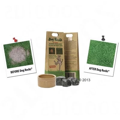 Dog Rocks® Natuurstenen 4 Dog Rocks® Natuurstenen - Afbeelding 3