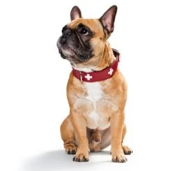 Hunter Set: Halsband Swiss + Hondenriem Swiss -Hondenbenodigdheden Korting 36707 hunter swiss3 3