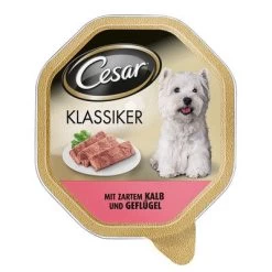 Cesar Multipack Hondenvoer 14 X 150 G -Hondenbenodigdheden Korting 42945 PLA Cesar Klassiker Kalb und Gefluegel 24 x 150 g 4