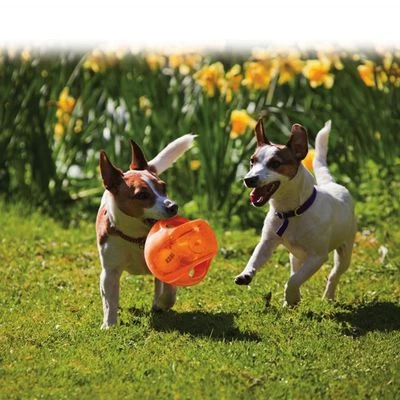 KONG Jumbler Bal 9 KONG Jumbler Bal - Afbeelding 7