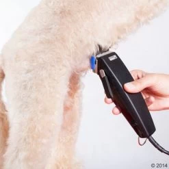 Tondeuse Moser Rex 24 Tondeuse Moser Rex -Hondenbenodigdheden Korting 465375 schermaschine moser rex 02 5