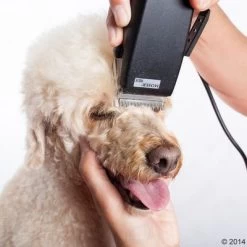 Tondeuse Moser Rex 23 Tondeuse Moser Rex -Hondenbenodigdheden Korting 465375 schermaschine moser rex 04 0