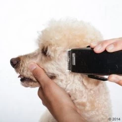 Tondeuse Moser Rex 22 Tondeuse Moser Rex -Hondenbenodigdheden Korting 465375 schermaschine moser rex 05 2