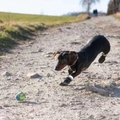 Hondenschoen S & P Boots 24 Hondenschoen S & P Boots -Hondenbenodigdheden Korting 52149 hundeschuhe xs fg 0967 9