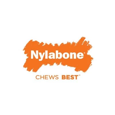 Nylabone Adult X-Bone Kauwspeelgoed 8 Nylabone Adult X-Bone Kauwspeelgoed - Afbeelding 6