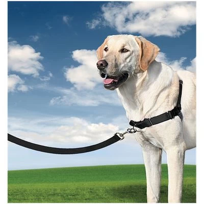 PetSafe Easy Walk Harness 4 PetSafe Easy Walk Harness - Afbeelding 2