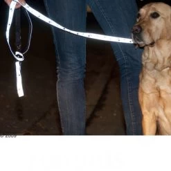 Trixie Set: Halsband Poten Zilver Reflect + Hondenlijn -Hondenbenodigdheden Korting 61857 trixie vleinepfoten4 1